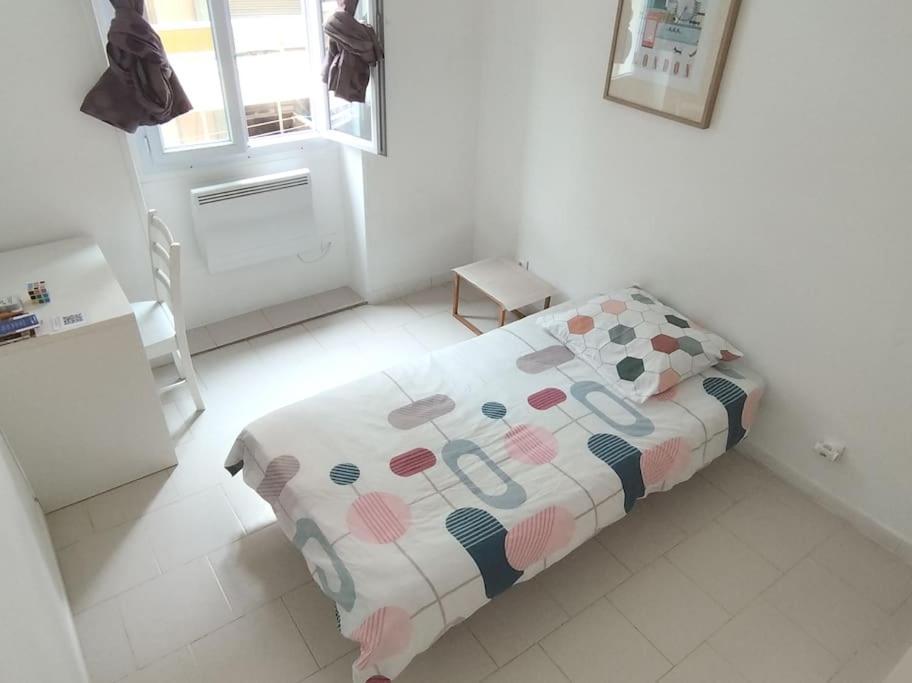 Private Room In Shared Apartment In The Center Of Nice Dış mekan fotoğraf